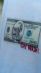 T krekls RICH Dollar Goat