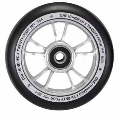 Ritenis Blunt 10 Spokes 100 Silver Black