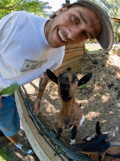 T krekls RICH Dollar Goat