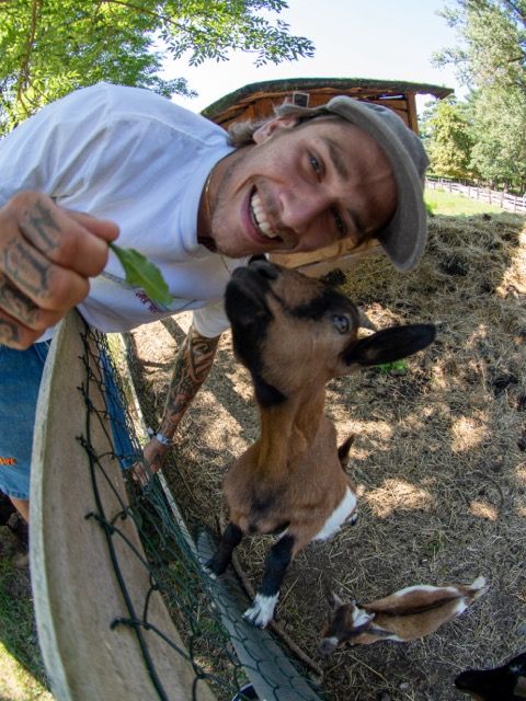 T krekls RICH Dollar Goat
