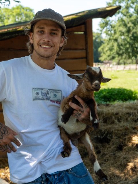 T krekls RICH Dollar Goat